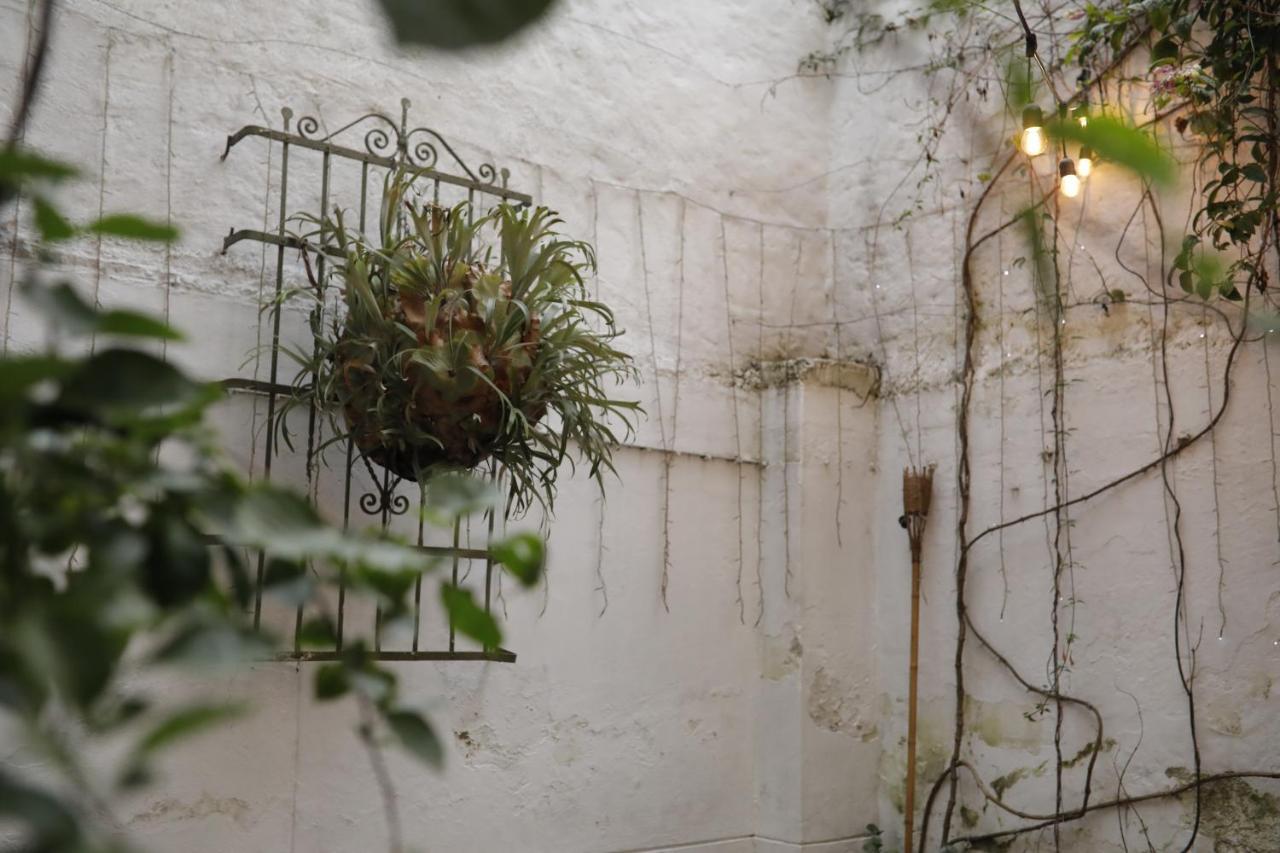 Florentina Symbiosis Medellin Ngoại thất bức ảnh